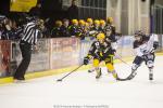 Photo hockey match Strasbourg  - Angers  le 10/02/2015