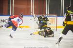 Photo hockey match Strasbourg  - Angers  le 22/01/2017