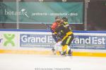 Photo hockey match Strasbourg  - Angers  le 22/01/2017