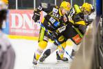 Photo hockey match Strasbourg  - Brest  le 13/12/2014