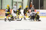 Photo hockey match Strasbourg  - Brest  le 13/12/2014