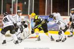 Photo hockey match Strasbourg  - Brest  le 13/12/2014
