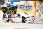 Photo hockey match Strasbourg  - Caen  le 21/09/2013