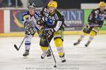 Photo hockey match Strasbourg  - Caen  le 06/01/2012