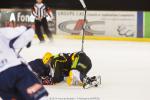 Photo hockey match Strasbourg  - Chamonix  le 18/10/2014