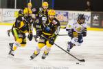 Photo hockey match Strasbourg  - Chamonix  le 18/10/2014