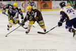 Photo hockey match Strasbourg  - Chamonix  le 26/12/2011