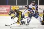 Photo hockey match Strasbourg  - Chamonix  le 12/01/2013