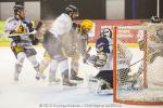 Photo hockey match Strasbourg  - Chamonix  le 12/01/2013