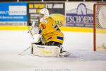 Photo hockey match Strasbourg  - Dijon  le 12/10/2013