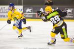Photo hockey match Strasbourg  - Dijon  le 17/01/2015