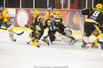 Photo hockey match Strasbourg  - Dijon  le 17/01/2015
