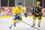 Photo hockey match Strasbourg  - Dijon  le 17/01/2015