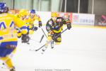 Photo hockey match Strasbourg  - Dijon  le 17/01/2015