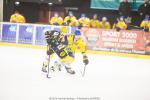 Photo hockey match Strasbourg  - Dijon  le 17/01/2015