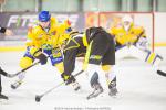 Photo hockey match Strasbourg  - Dijon  le 17/01/2015
