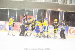 Photo hockey match Strasbourg  - Dijon  le 17/01/2015