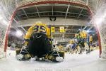 Photo hockey match Strasbourg  - Dijon  le 17/01/2015