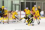 Photo hockey match Strasbourg  - Dijon  le 04/12/2015