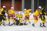 Photo hockey match Strasbourg  - Dijon  le 11/11/2016