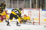Photo hockey match Strasbourg  - Dijon  le 11/11/2016