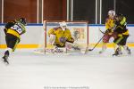 Photo hockey match Strasbourg  - Dijon  le 11/11/2016