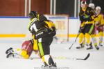 Photo hockey match Strasbourg  - Dijon  le 11/11/2016