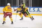 Photo hockey match Strasbourg  - Dijon  le 13/01/2017