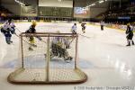 Photo hockey match Strasbourg  - Dijon  le 22/11/2008