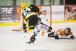 Photo hockey match Strasbourg  - Epinal  le 20/02/2015