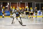 Photo hockey match Strasbourg  - Epinal  le 21/02/2015