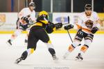 Photo hockey match Strasbourg  - Epinal  le 08/01/2016