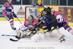 Photo hockey match Strasbourg  - Epinal  le 06/03/2010