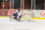 Photo hockey match Strasbourg  - Grenoble  le 04/01/2014