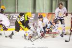 Photo hockey match Strasbourg  - Grenoble  le 23/01/2015