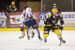 Photo hockey match Strasbourg  - Grenoble  le 23/01/2015