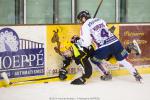 Photo hockey match Strasbourg  - Grenoble  le 23/01/2015