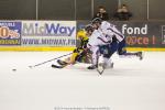 Photo hockey match Strasbourg  - Grenoble  le 23/01/2015