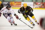 Photo hockey match Strasbourg  - Grenoble  le 17/11/2015