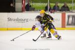 Photo hockey match Strasbourg  - Grenoble  le 17/11/2015