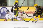 Photo hockey match Strasbourg  - Grenoble  le 17/11/2015