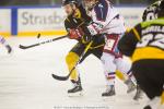 Photo hockey match Strasbourg  - Grenoble  le 27/01/2017