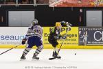 Photo hockey match Strasbourg  - Grenoble  le 08/01/2011