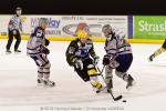 Photo hockey match Strasbourg  - Grenoble  le 08/01/2011