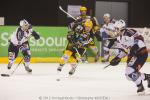 Photo hockey match Strasbourg  - Grenoble  le 18/11/2012