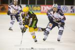 Photo hockey match Strasbourg  - Grenoble  le 18/11/2012
