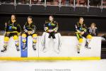 Photo hockey match Strasbourg  - Morzine-Avoriaz le 16/01/2016