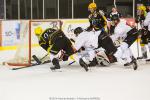 Photo hockey match Strasbourg  - Mulhouse le 21/08/2014