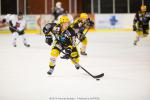 Photo hockey match Strasbourg  - Mulhouse le 21/08/2014