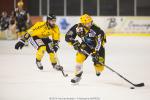 Photo hockey match Strasbourg  - Rouen le 21/01/2014